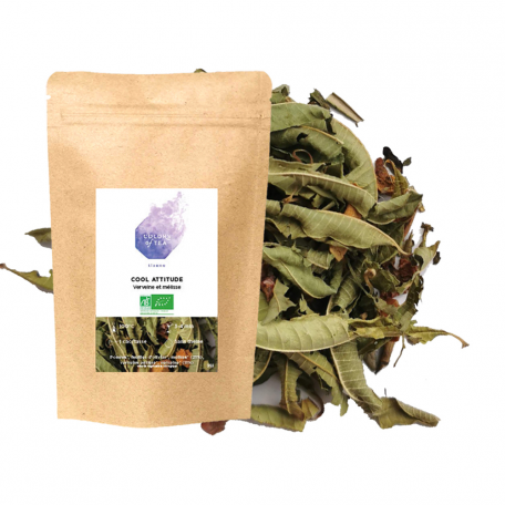 Tisane végétale - Verveine et mélisse