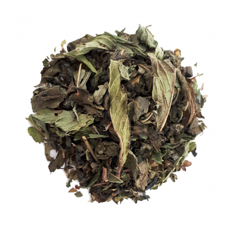 Thé vert végétal - Menthe poivrée