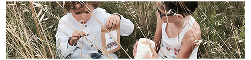 Colors of Tea • Thés et tisanes pour enfants