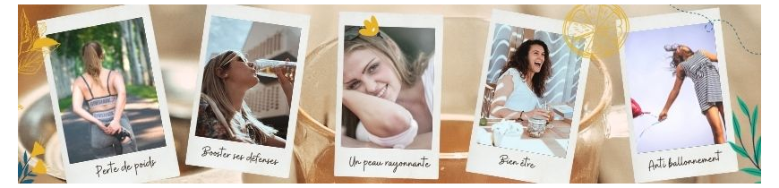 Colors of Tea • Les bienfaits des thés et tisanes BIO