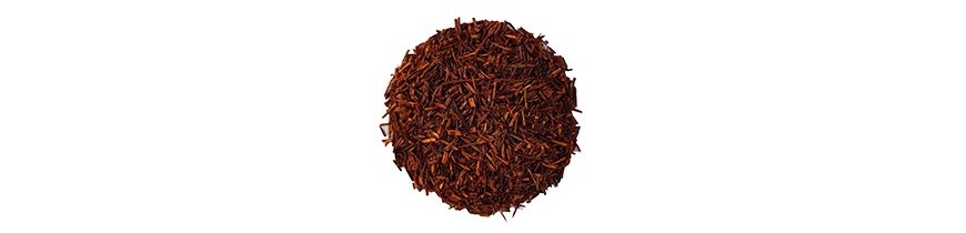 Rooibos