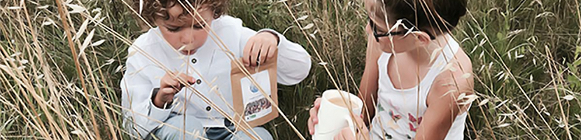 Colors of Tea • Thés et tisanes pour enfants