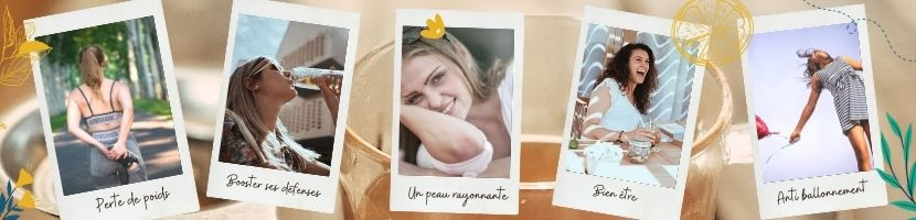 Colors of Tea • Les bienfaits des thés et tisanes BIO